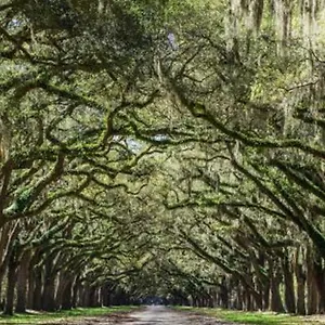 https://new-home8-mins-to-dwntwn-sleeps-10free-parking.top-hotels-in-savannah.com